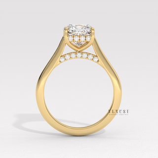affordable cushion hidden halo cathedral ring